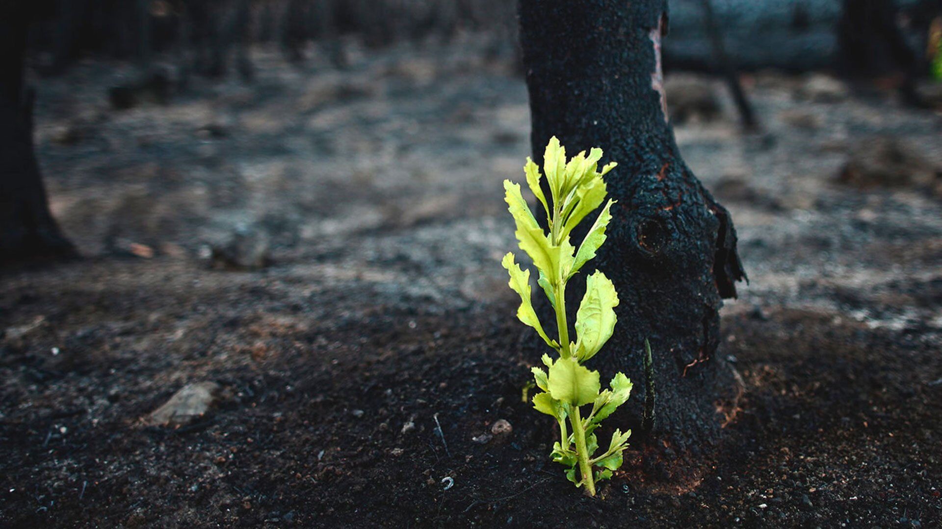bếp công nghiệp